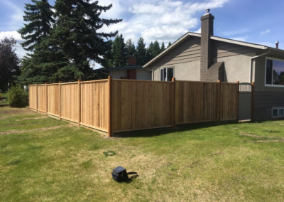 Cedar Panel Fence
